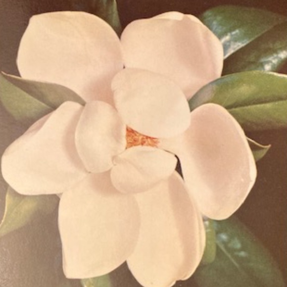 Aiden Mattox Sequin Dress✨New with tags - Picture 12 of 12